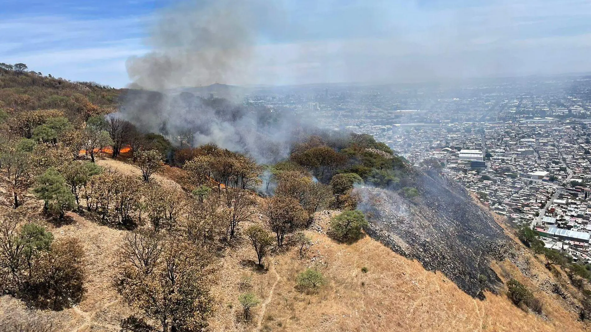 Incendio bosque de El Colli